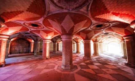 Comedy Festival For Crystal :Palace Comedy Festival For Crystal :Palace