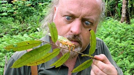 bill bailey