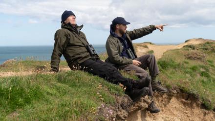 Sam & Ade Go Birding Again Sam & Ade Go Birding Again