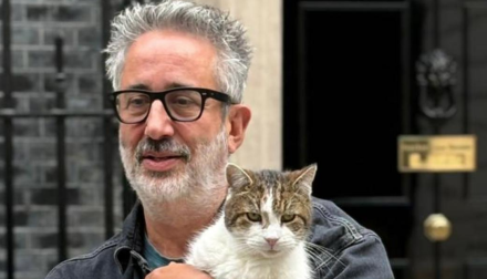 Paws For Thought – David Baddiel Makes Cat Series Paws For Thought – David Baddiel Makes Cat Series