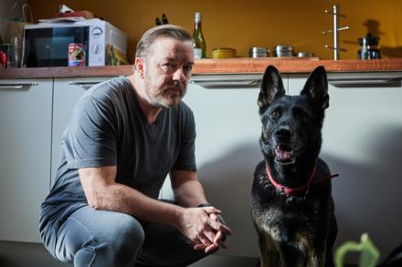 ricky gervais afterlife ricky gervais afterlife