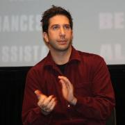 David Schwimmer