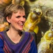 Holly Walsh To Curate Museum of Curiousity