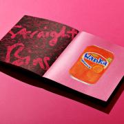 Joe Lycett Publishes Bin Book