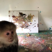 Ricky Gervais Cat Portrait By Monkey Raises Funds For Animal Charity – Bid Here