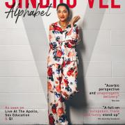 Interview: Sindhu Vee