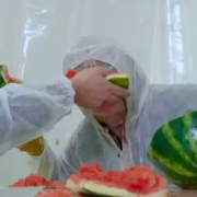 Video: Taskmaster - Richard Herring, Daisy May Cooper Feed Each Other Watermelons